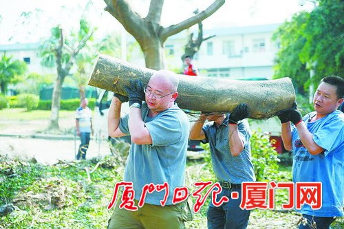 厦门日报：时间响应 打赢灾后自救仗